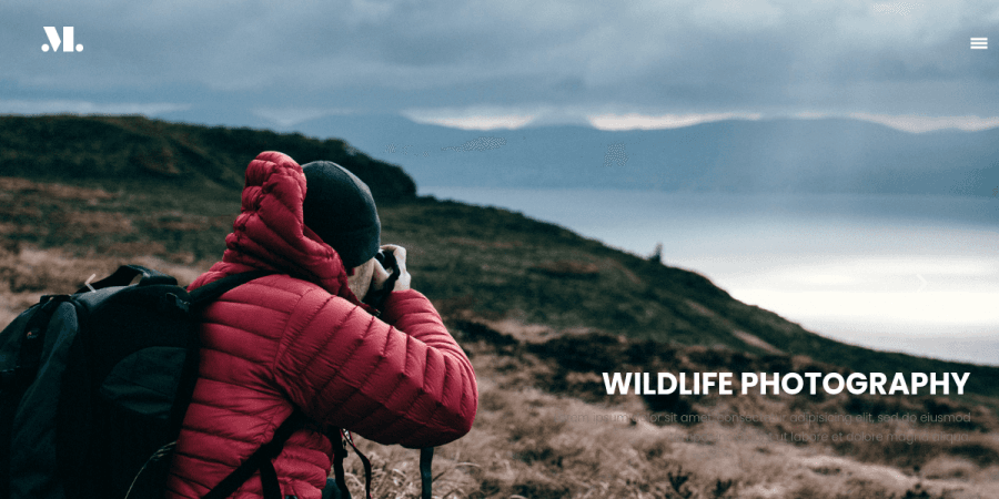 Wildlife Photography homepage